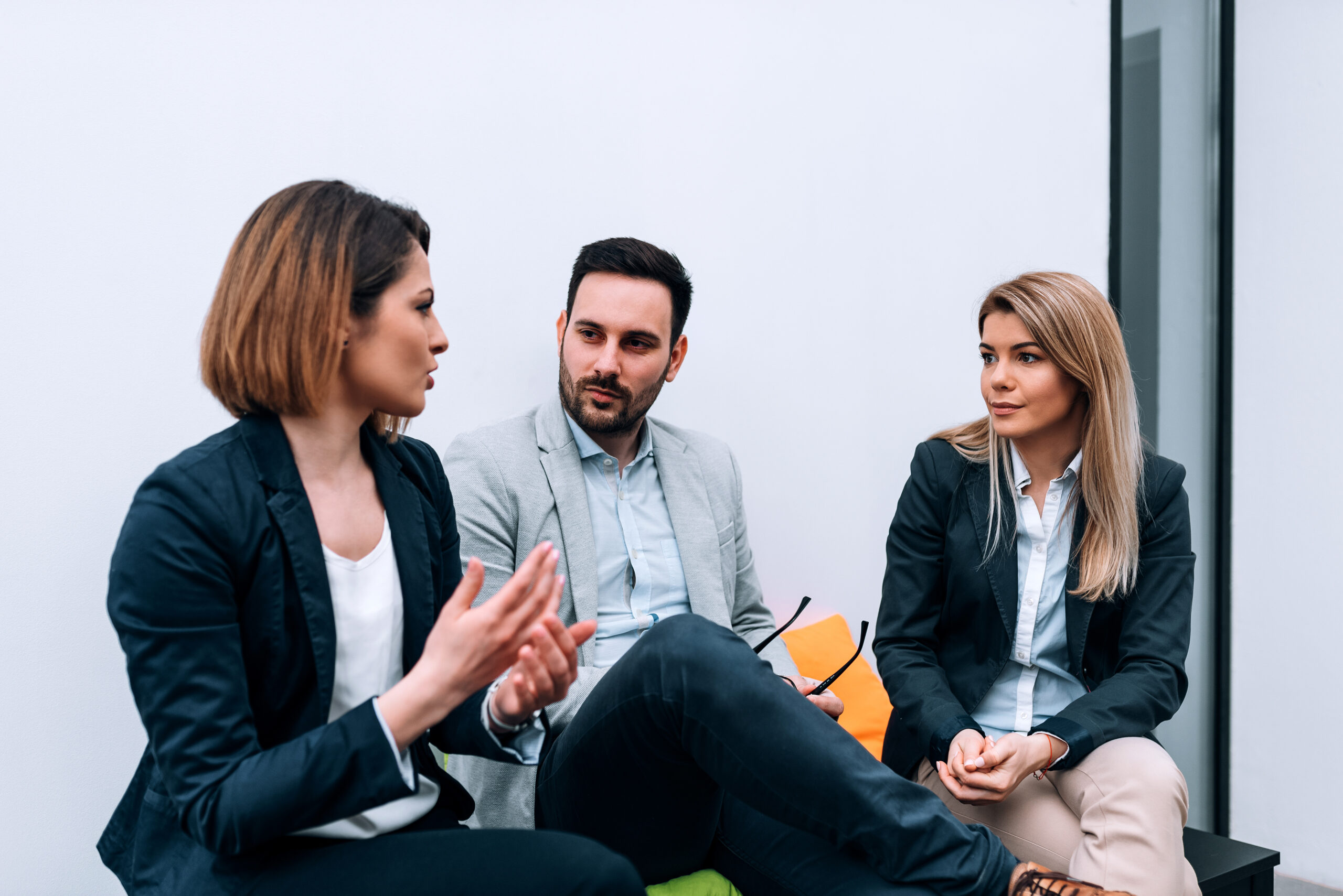 Accountants discussing software