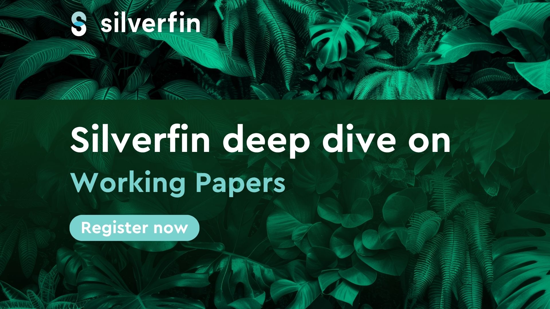 Silverfin in Action: Deep dive on Working Papers - 5 Nov​