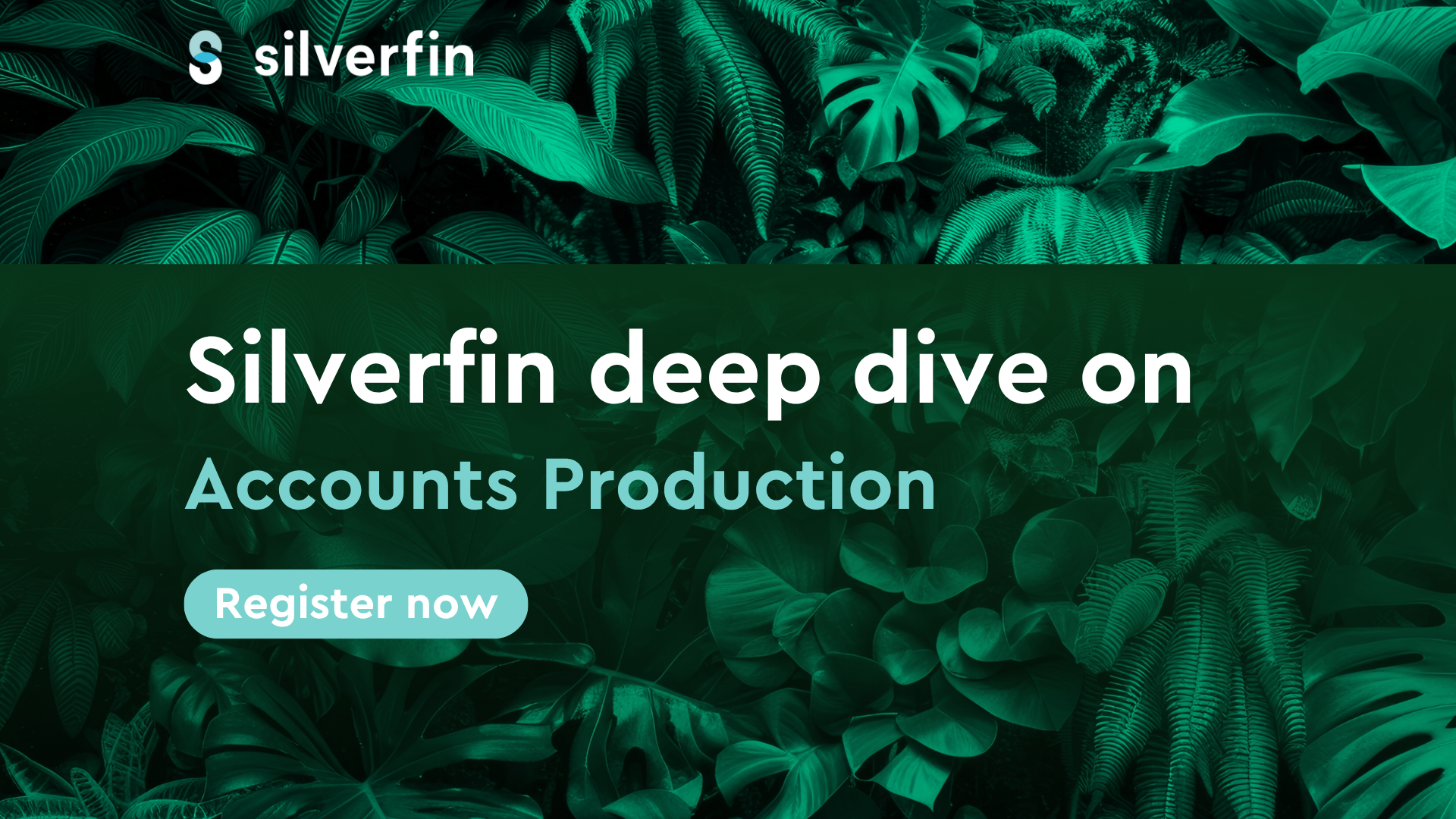 Silverfin in Action: Deep dive on Accounts Production
